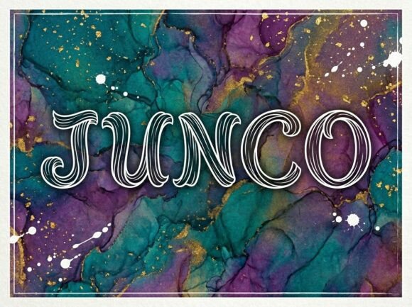 Junco: A Display Typeface That Makes Your Brand Feel Alive